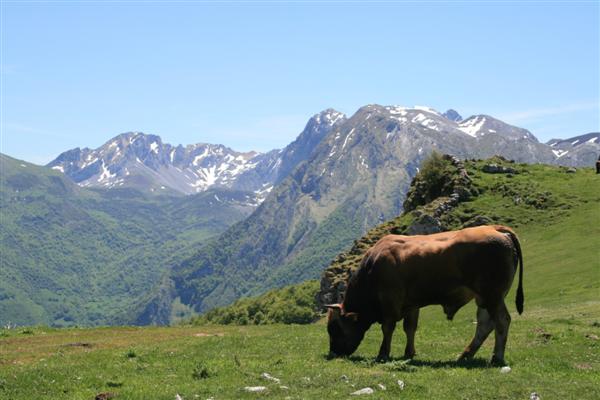 Fariñentu, Ranchón y Campu Faya desde Vega la Cueva