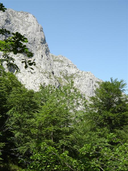La Foz Grande