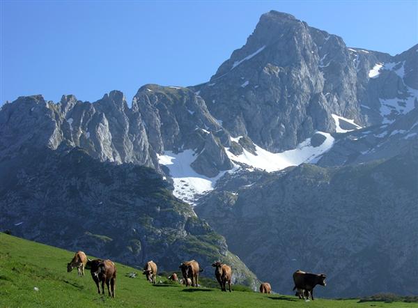 Los Fontanes. Agüeria: Parque Natural de las Ubiñas - La Mesa