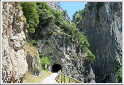 Entrada al desfiladero de Valdemurio_Senda del Oso_Proaza Quirós.
